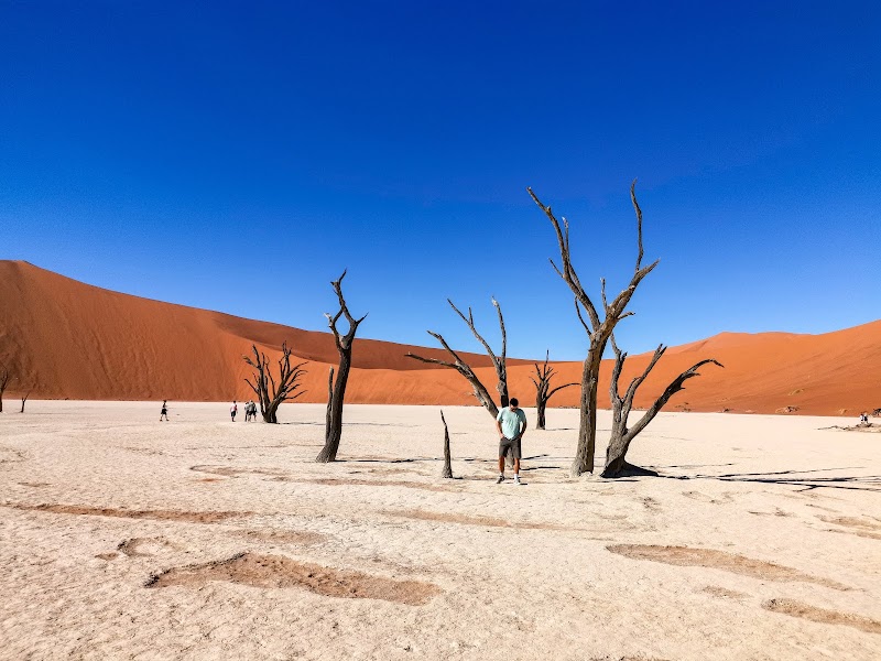 Deadvlei in Sossusvlei