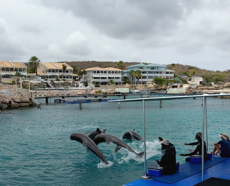 Photo 1 at Curaçao Sea Aquarium in Willemstad