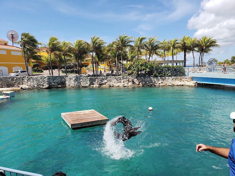 Curaçao Sea Aquarium in Willemstad