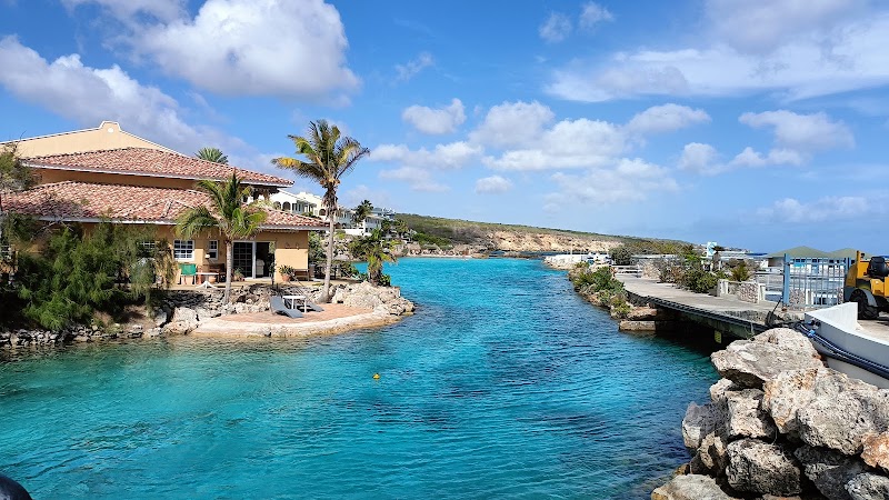 Photo 3 at Curaçao Sea Aquarium in Willemstad