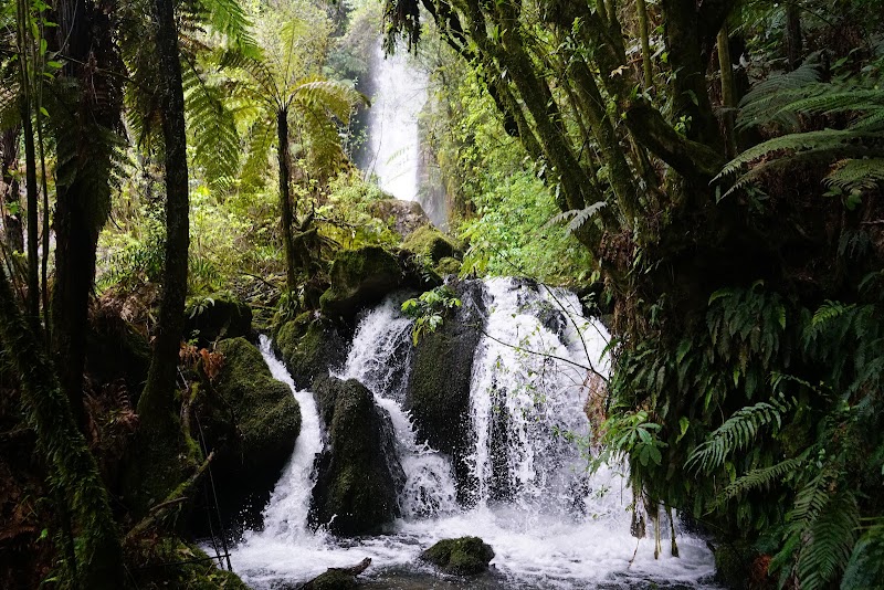 Photo 5 at Buried Village of Te Wairoa in Rotorua