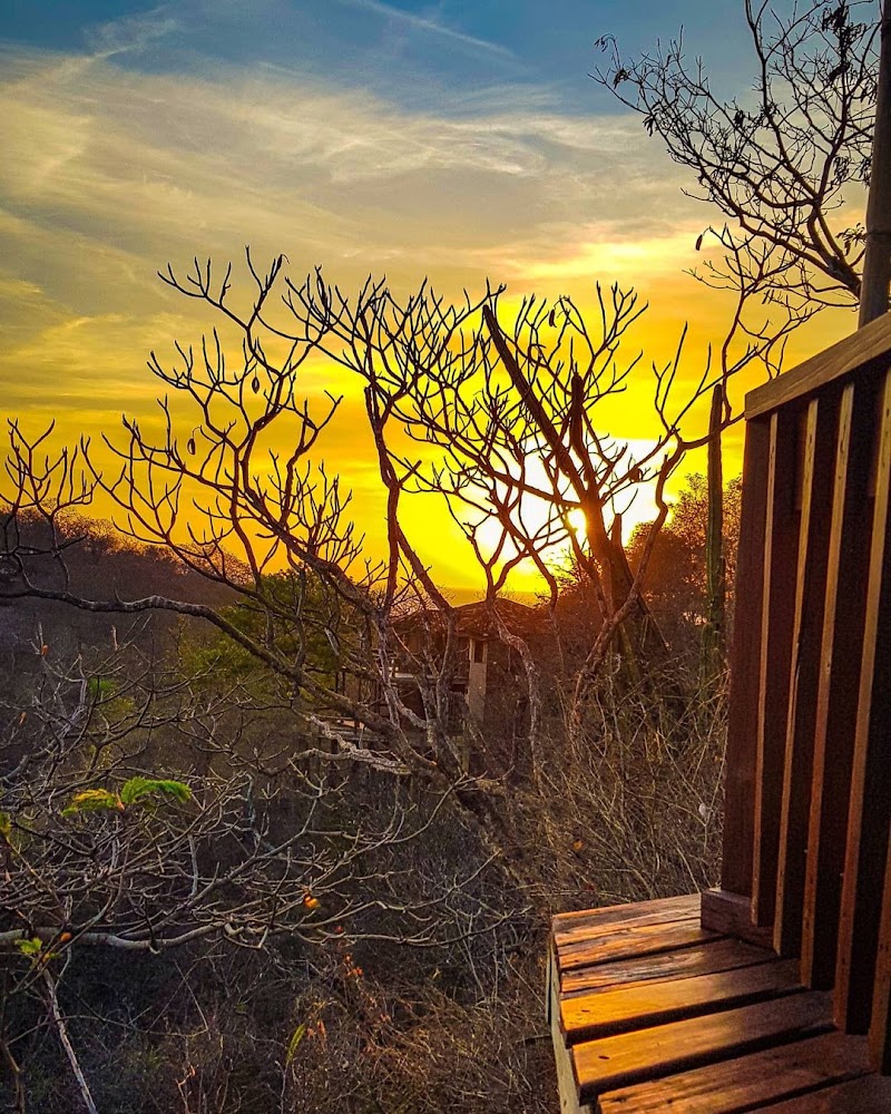 Photo 6 at Aqua Oceanfront Resort & Residences in Tola