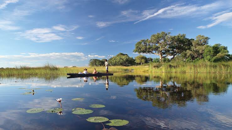Photo 4 at Okavango Delta in 