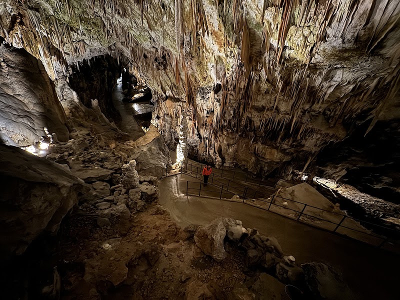 Photo 5 at Postojna Cave in Postojna