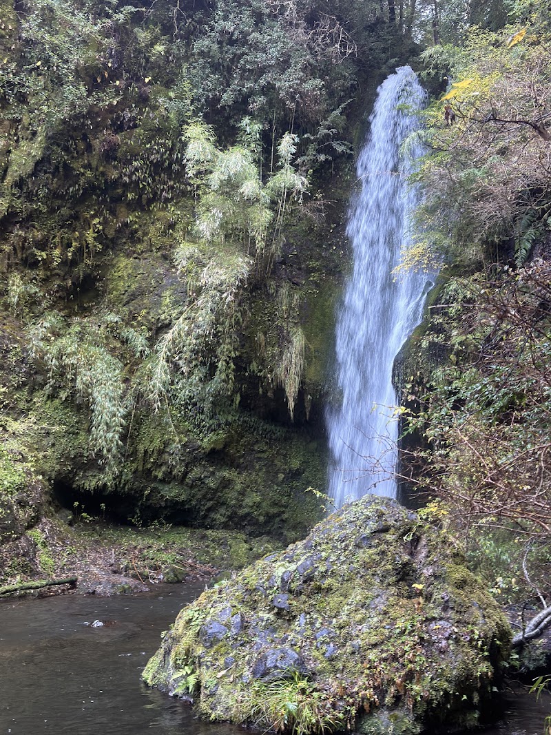 Photo 3 at Termas Geometricas in Panguipulli