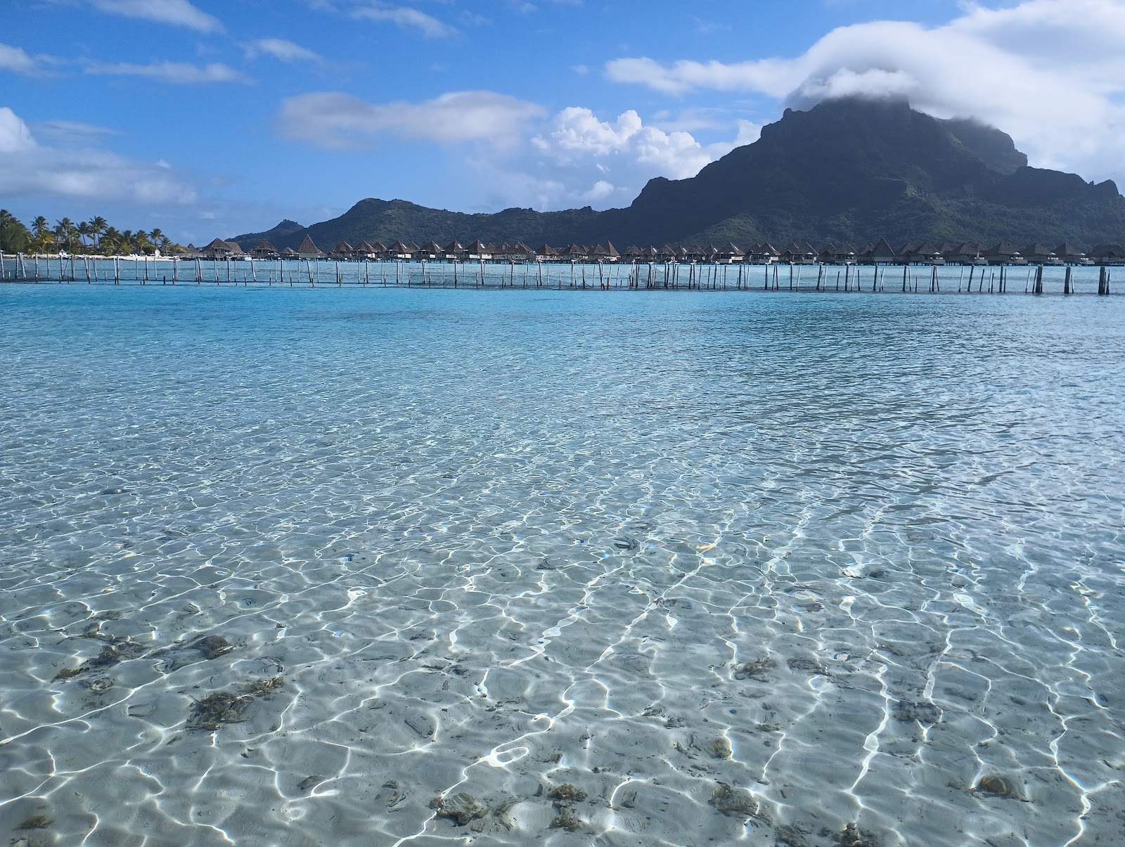Bora Bora Lagoonarium in Récif du Motu de Bora