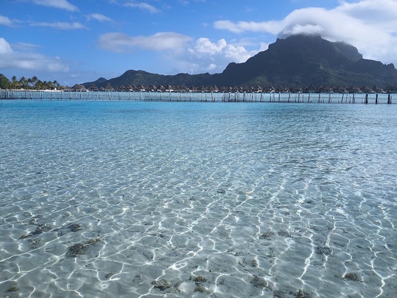 Bora Bora Lagoonarium in Récif du Motu de Bora