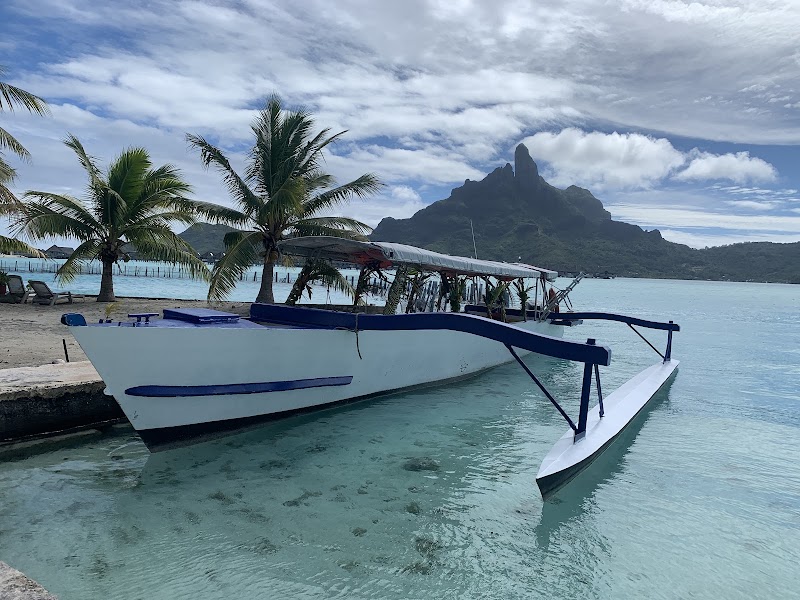 Photo 3 at Bora Bora Lagoonarium in Récif du Motu de Bora