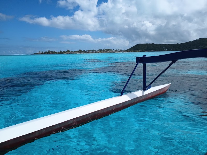 Photo 2 at Bora Bora Lagoonarium in Récif du Motu de Bora