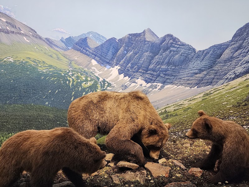 Photo 5 at Royal Alberta Museum in Edmonton