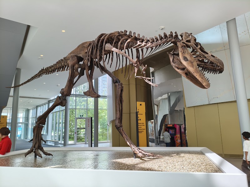 Photo 2 at Royal Alberta Museum in Edmonton