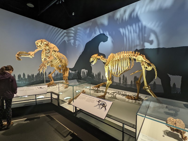 Photo 6 at Royal Alberta Museum in Edmonton