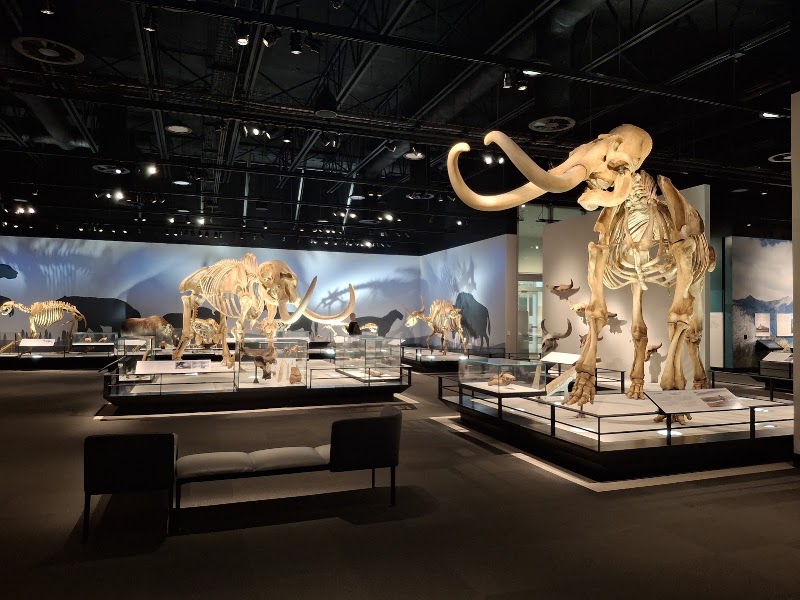 Photo 3 at Royal Alberta Museum in Edmonton