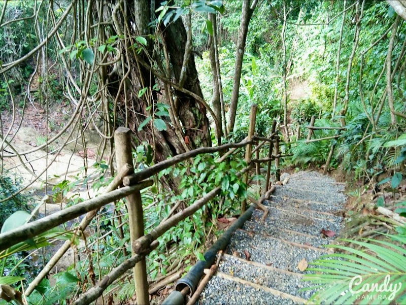 Photo 4 at LaTille Falls & Garden in Mon Repos