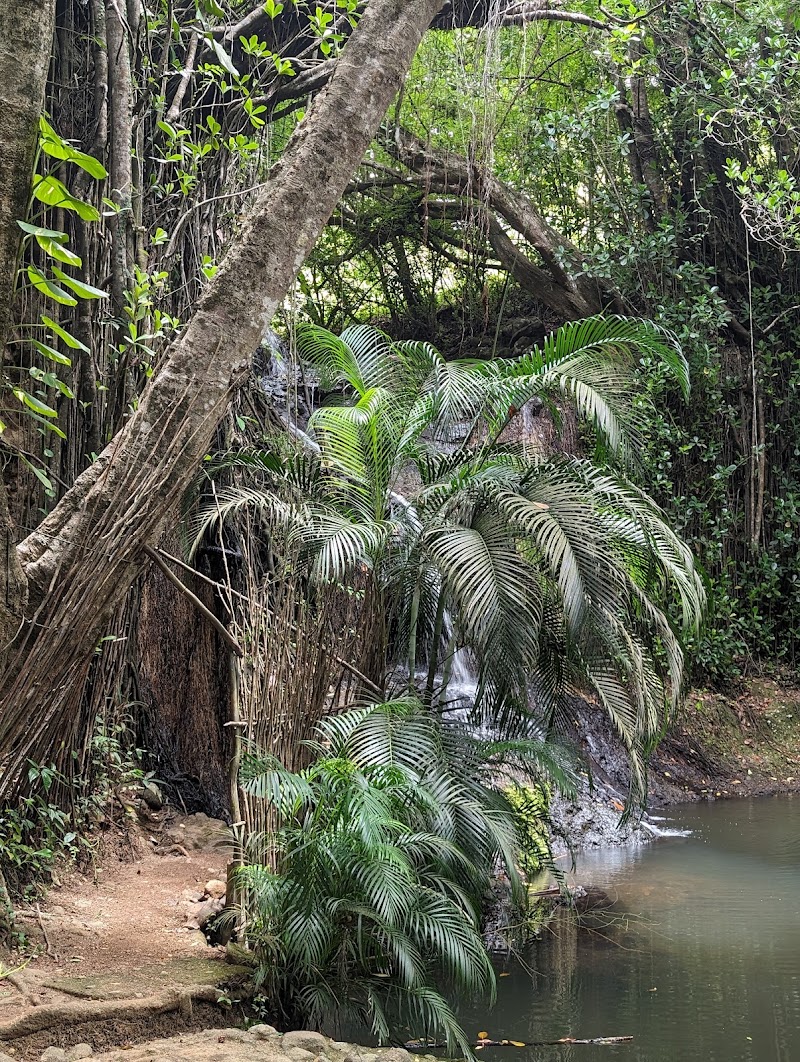 Photo 3 at LaTille Falls & Garden in Mon Repos