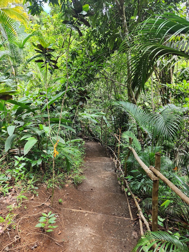 Photo 6 at LaTille Falls & Garden in Mon Repos