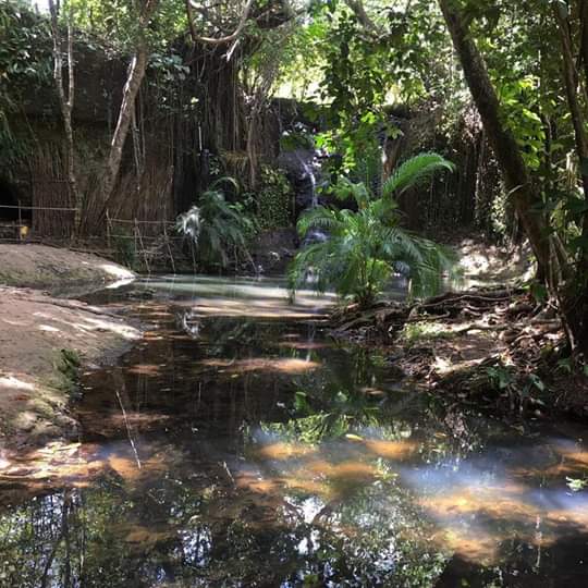Photo 2 at LaTille Falls & Garden in Mon Repos
