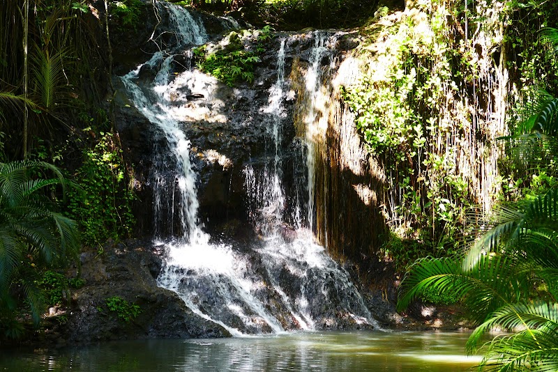 LaTille Falls & Garden in Mon Repos