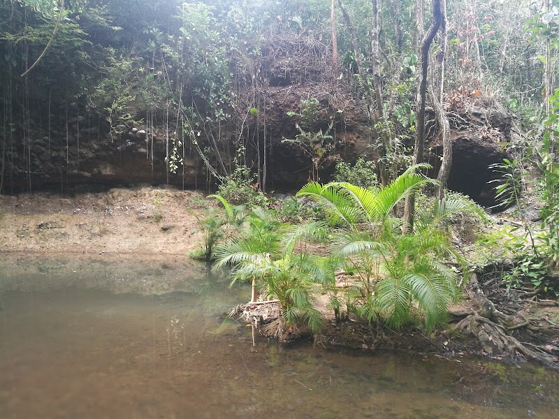 Photo 1 at LaTille Falls & Garden in Mon Repos