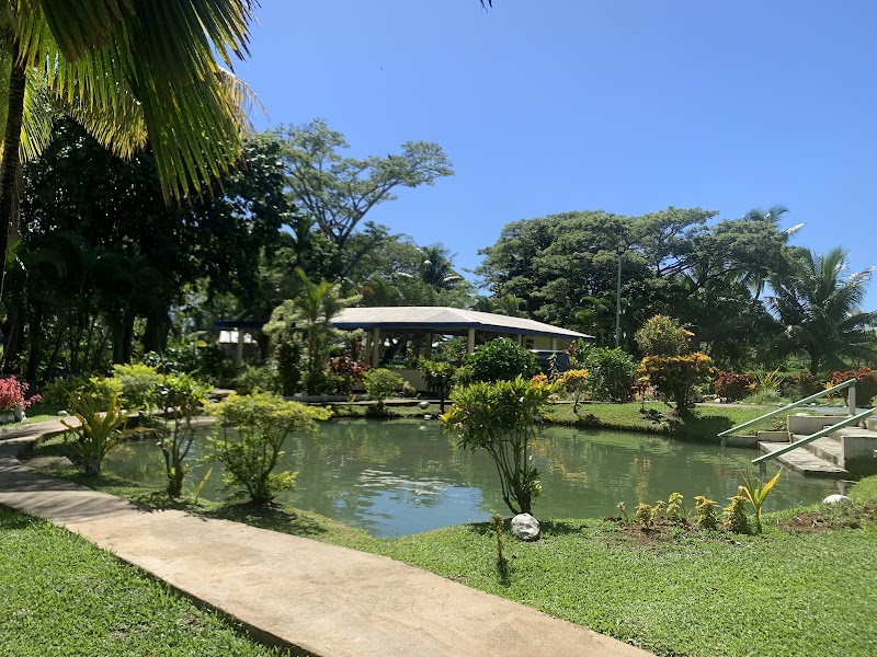Sabeto Hotspring Mudpool Fiji & Tours in Nadi