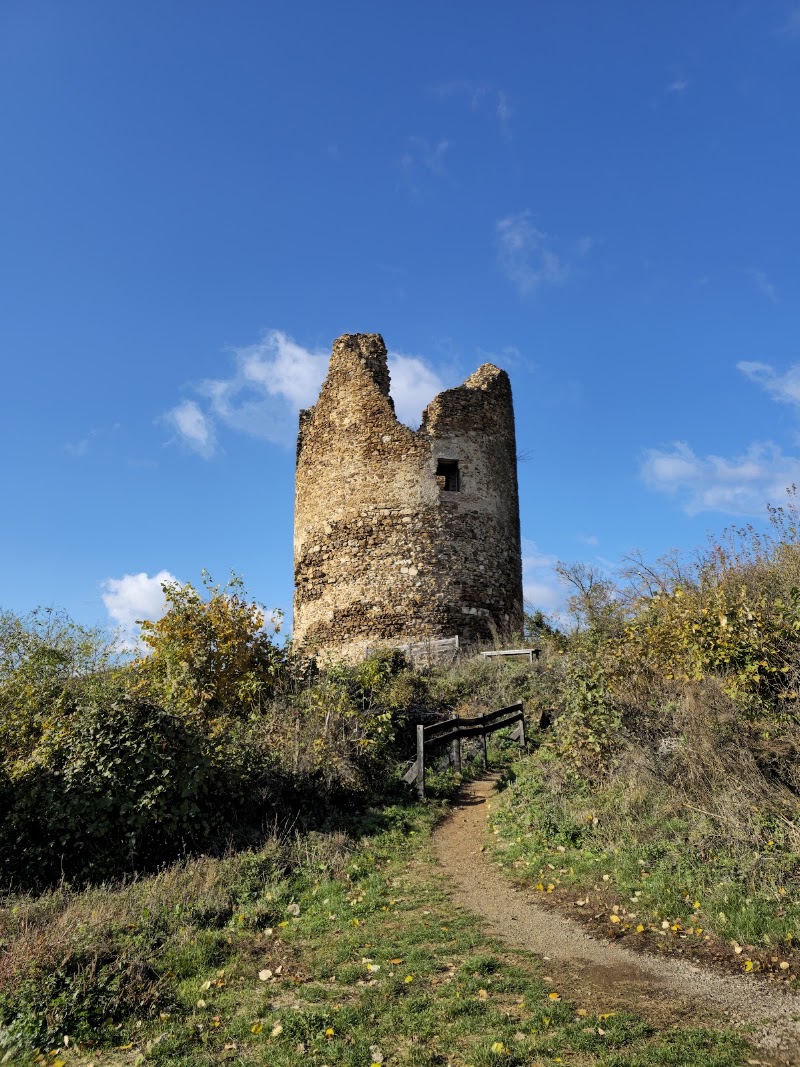 Photo 3 at Frushka Gora National Park in Черевић