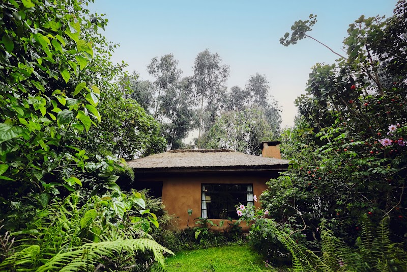 Sambora Kinigi in Kinigi