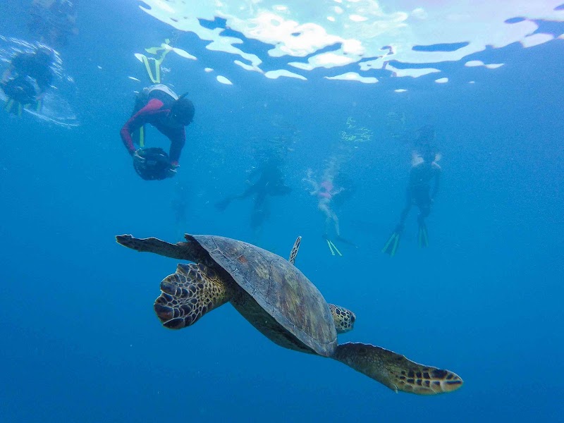 Photo 2 at KiteSUP Watersports Cook Islands in Ngatangiia District