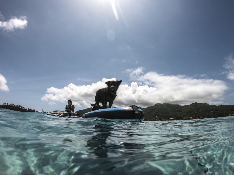 Photo 6 at KiteSUP Watersports Cook Islands in Ngatangiia District