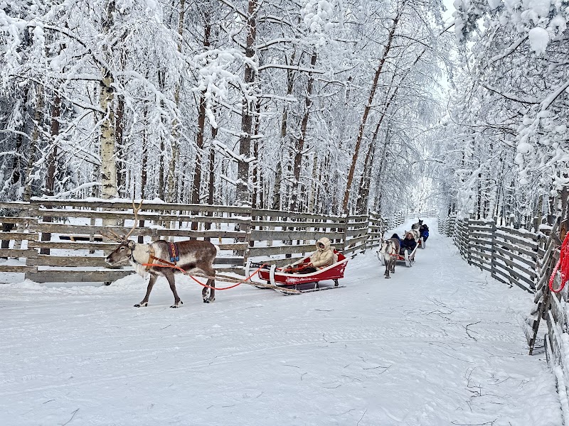 Photo 3 at Nordic Unique Travels in Rovaniemi