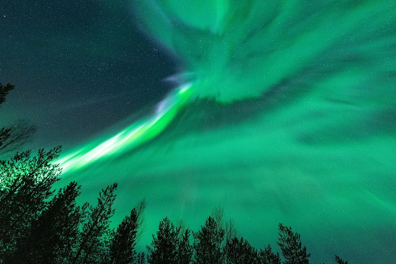 Nordic Unique Travels in Rovaniemi