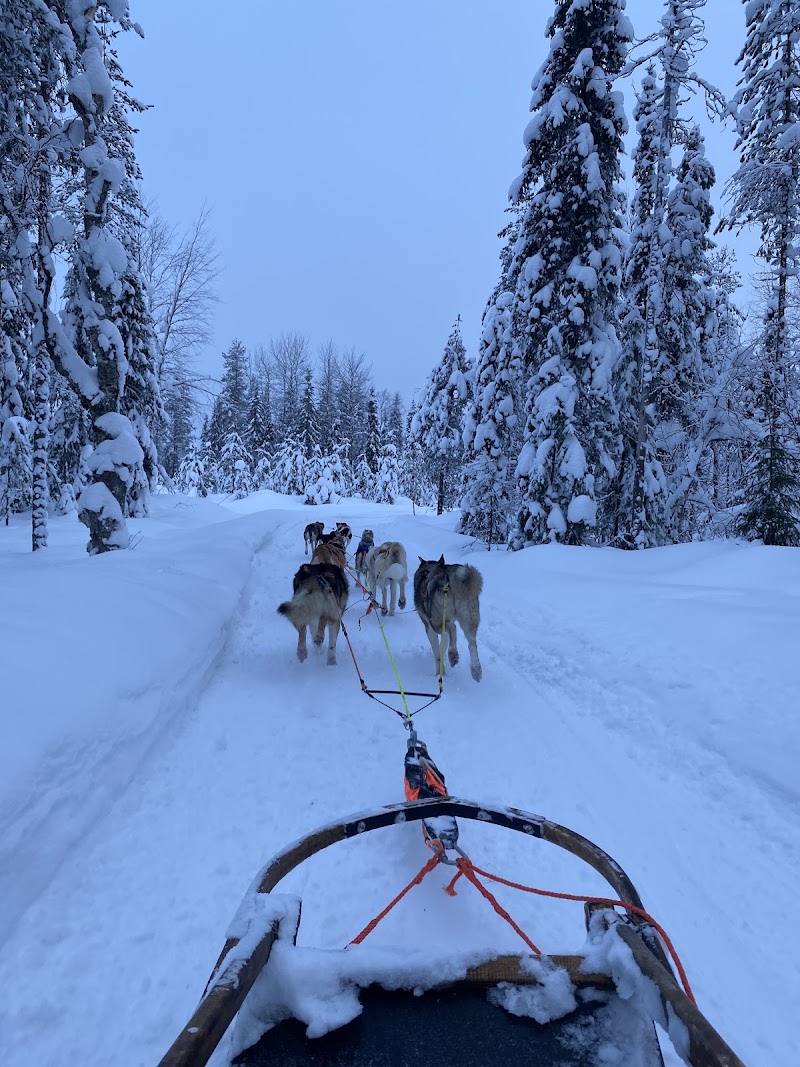 Photo 2 at Nordic Unique Travels in Rovaniemi