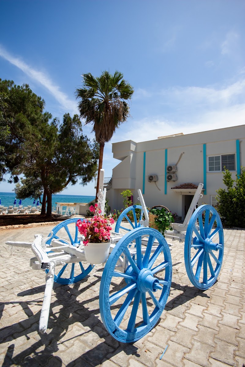 Photo 4 at MOJO OTEL BEACH in 