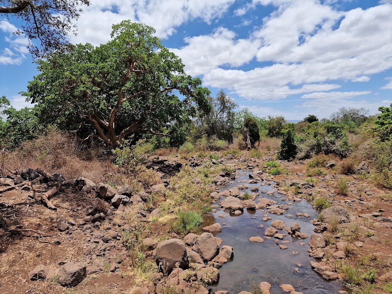 Photo 4 at Lake Manyara National Park in 