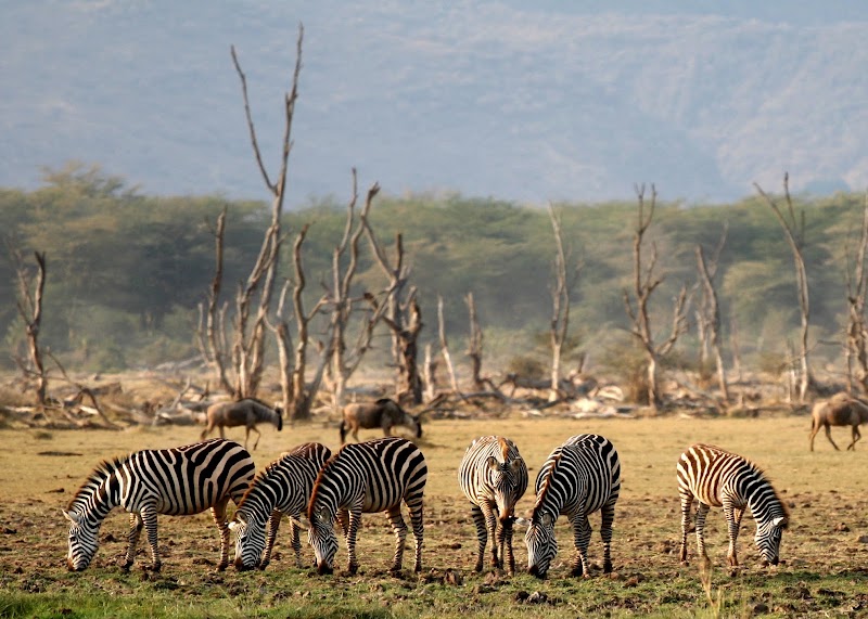 Lake Manyara National Park in 