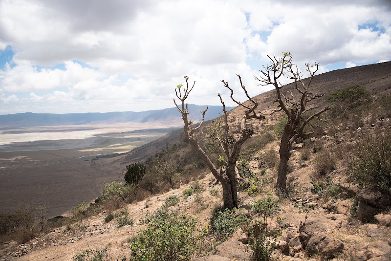 Photo 3 at Lake Manyara National Park in 