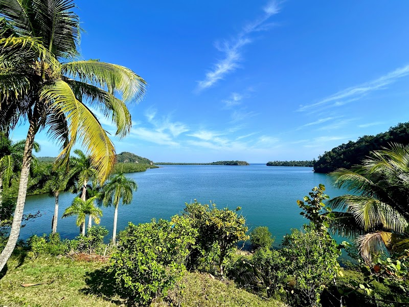 Photo 1 at Alexander von Humboldt National Park in 