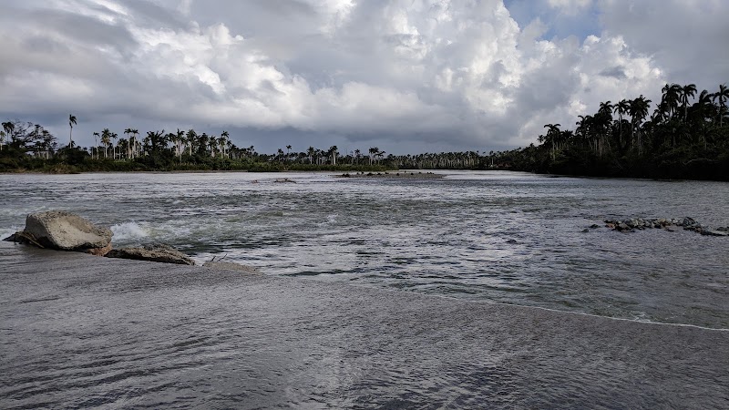 Photo 4 at Alexander von Humboldt National Park in 