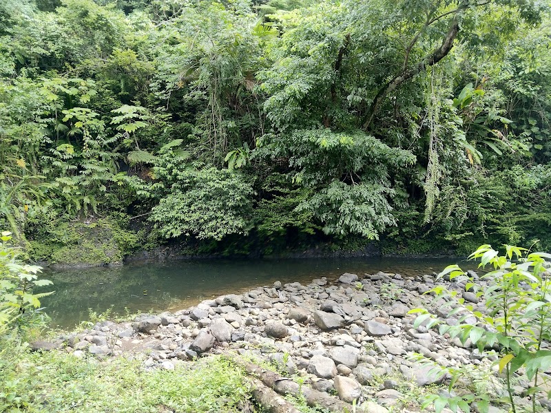 Photo 6 at Alexander von Humboldt National Park in 