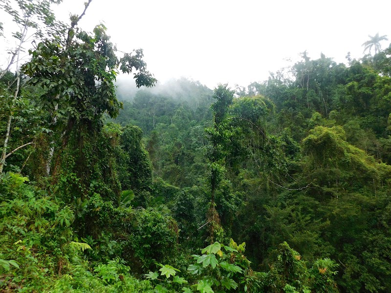 Alexander von Humboldt National Park in 