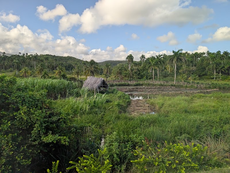 Photo 5 at Alexander von Humboldt National Park in 