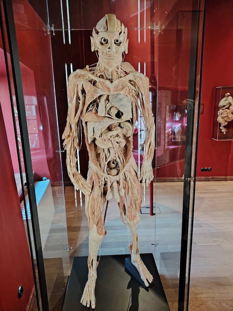Photo 4 at Estonian Health Museum in Tallinn