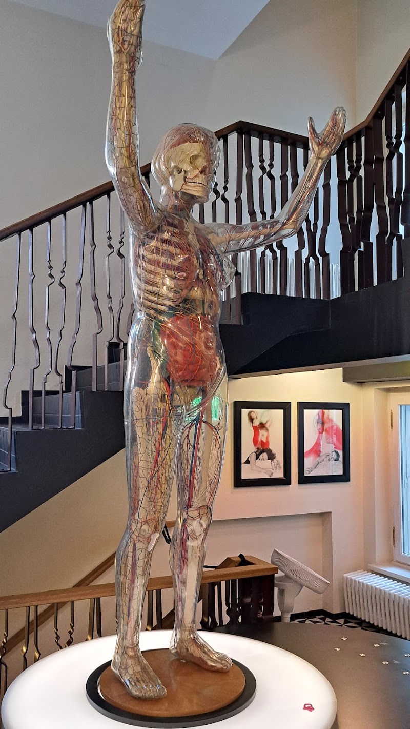 Photo 6 at Estonian Health Museum in Tallinn