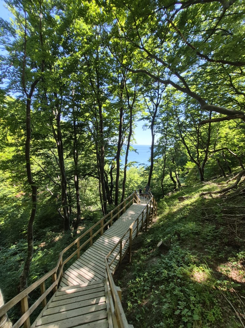 Photo 1 at Møns Klint in Borre
