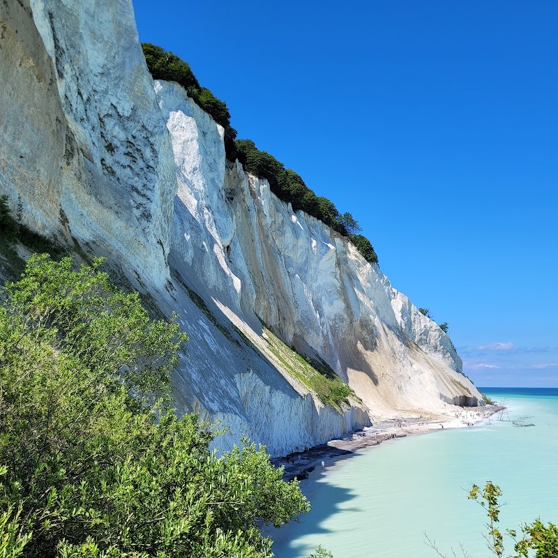 Møns Klint in Borre