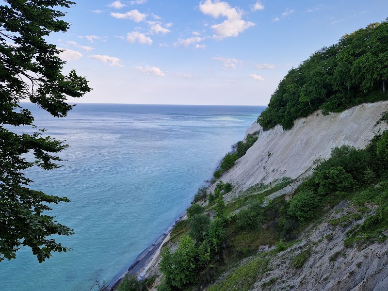 Photo 6 at Møns Klint in Borre