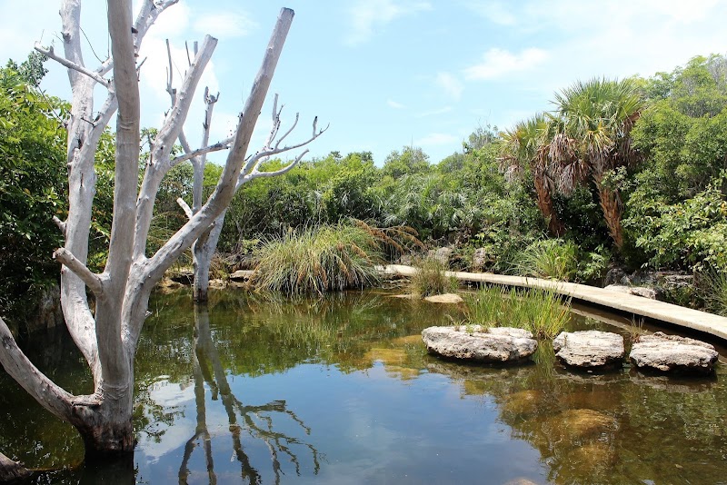 Leon Levy Native Plant Preserve in Governor's Harbour