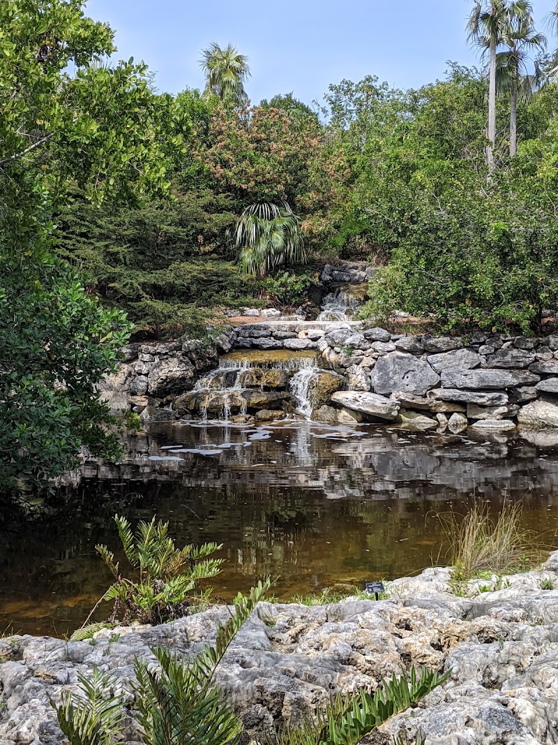 Photo 1 at Leon Levy Native Plant Preserve in Governor's Harbour