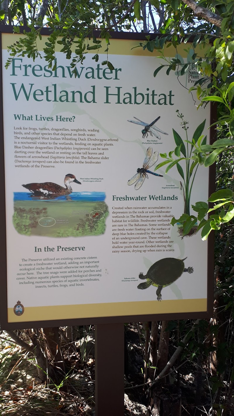 Photo 5 at Leon Levy Native Plant Preserve in Governor's Harbour