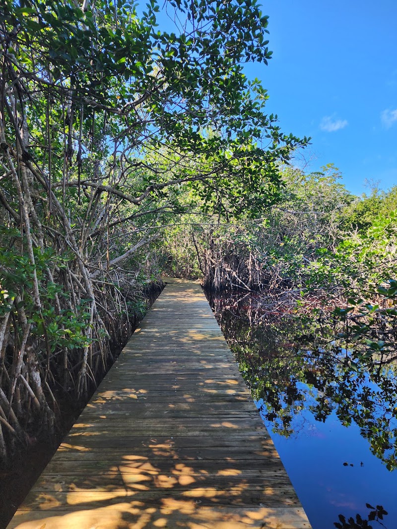 Photo 2 at Leon Levy Native Plant Preserve in Governor's Harbour