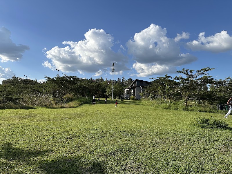 Photo 4 at Nyandungu Eco-Park in Kigali